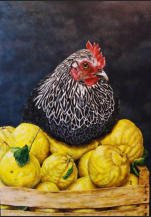 Poulet au citron     (70 x 100 cm)