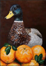 Canard  l'orange     (70 x 100 cm)