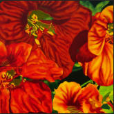 Feu floral  (80 x 80 cm)